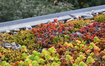 the cost of Humbie green roof installation
