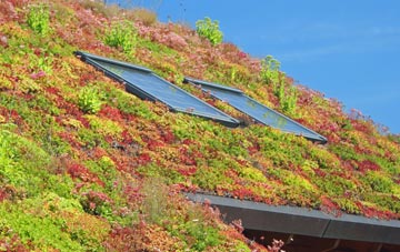 Humbie living roof systems