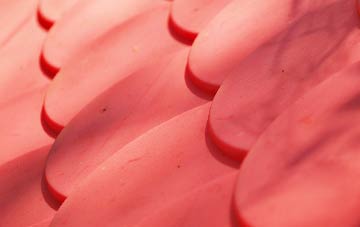 Humbie plastic roof costs