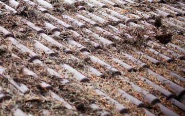 Humbie roof cleaning companies