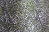 Humbie fibreglass roof work